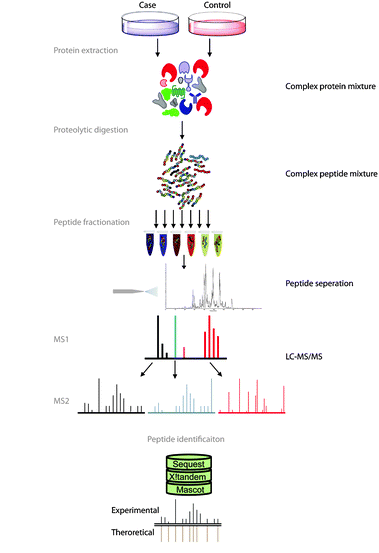 Proteomic Data Commons