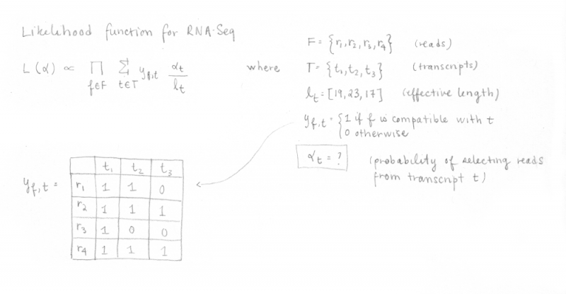 Understanding How Kallisto Works – Iric's Bioinformatics Platform