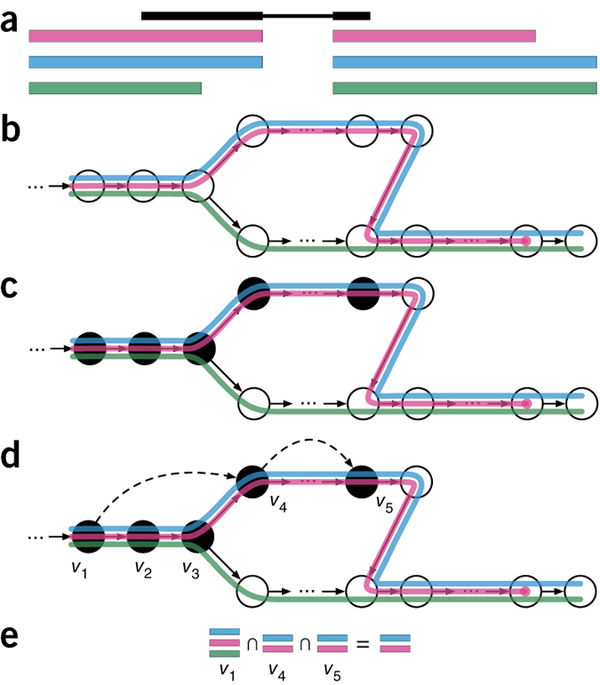 Understanding how kallisto works IRIC's Bioinformatics Platform